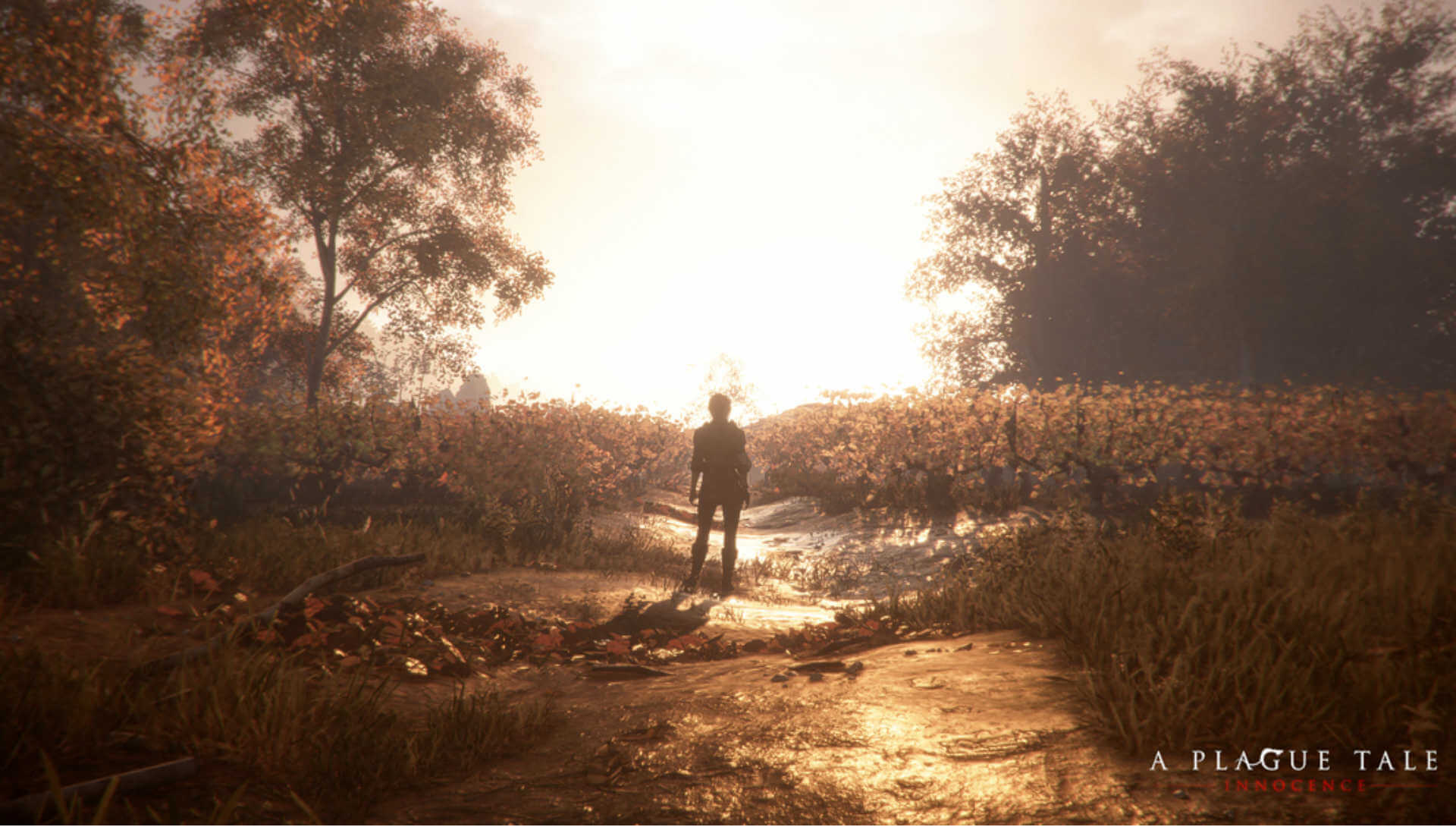 A Plague Tale : Innocence