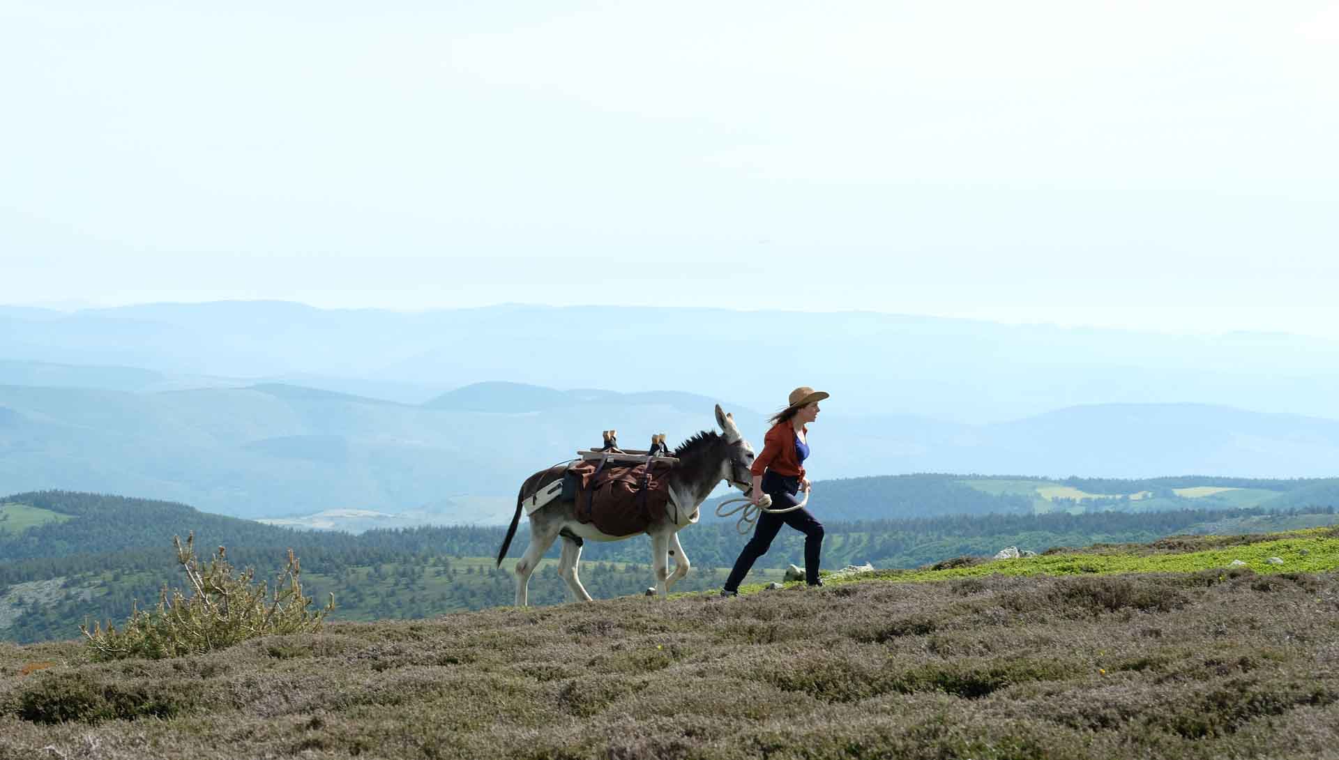 Antoinette dans les Cevennes