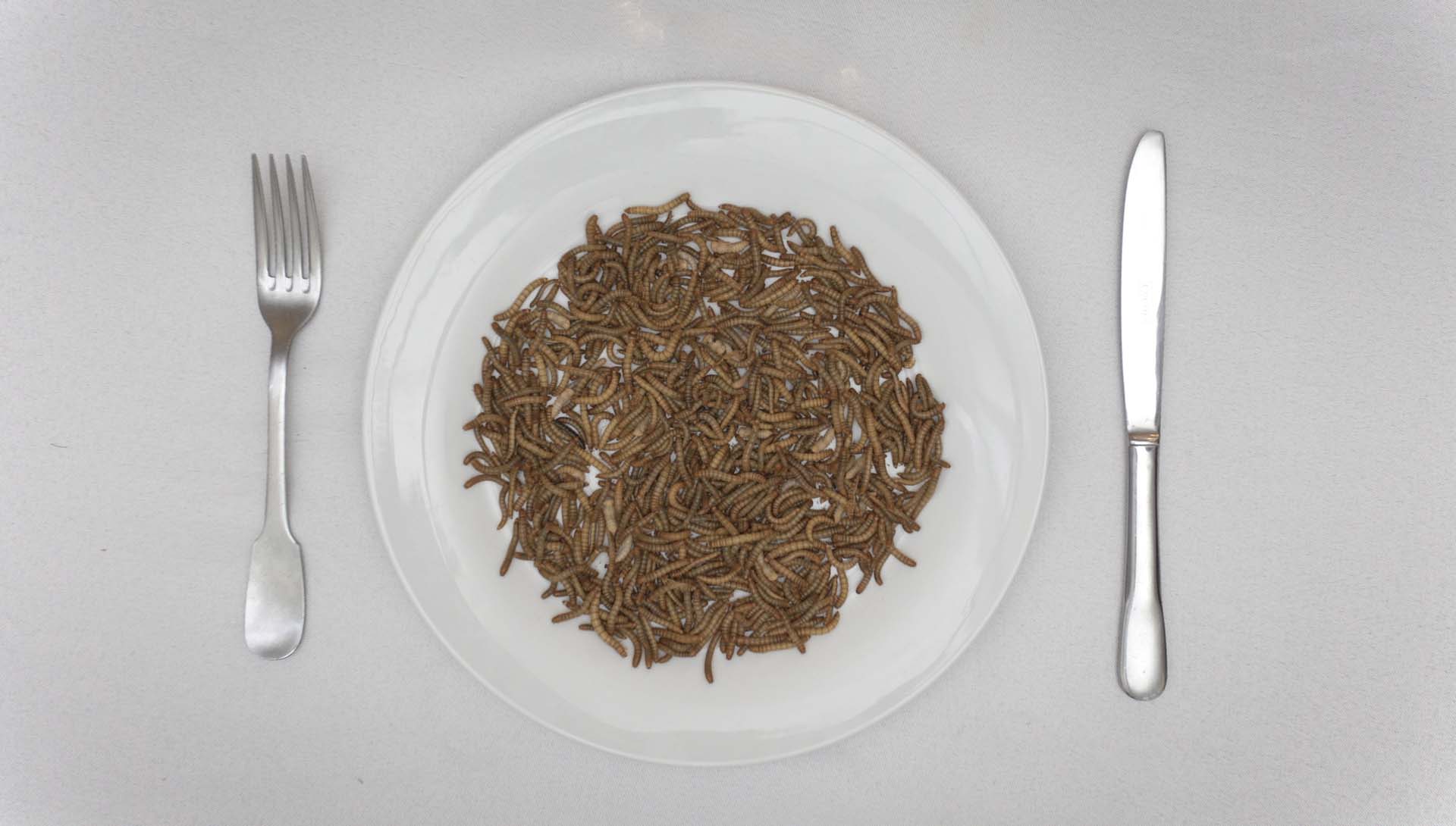 Des insectes dans l'assiette de Guilaine Bergeret et Rémi Rappe