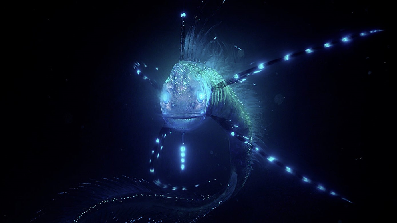 L'expérience en réalité virtuelle Biolum nous plonge dans des abysses peuplées de poissons pour le moins inquiétants.