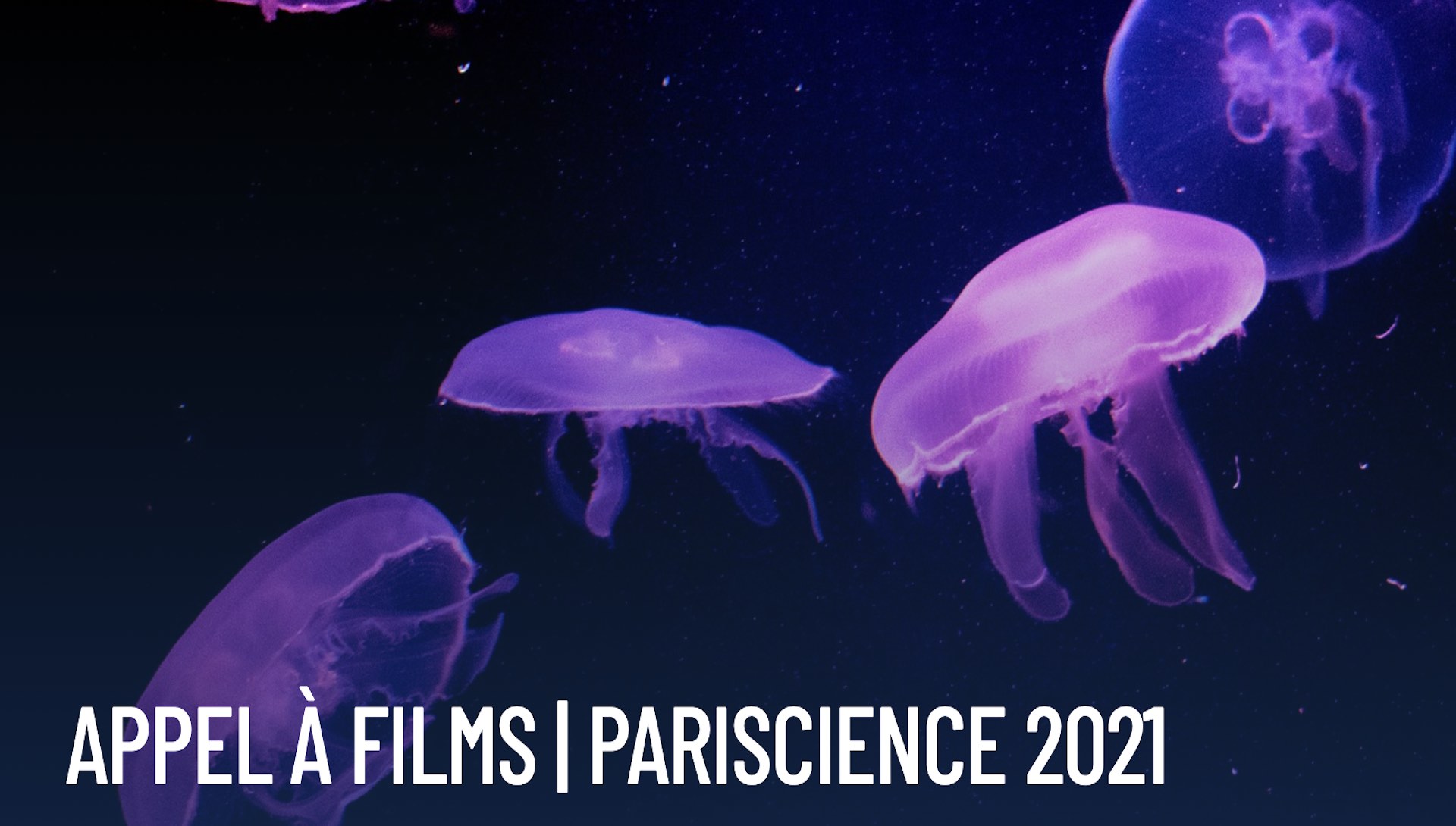 Pariscience 2021