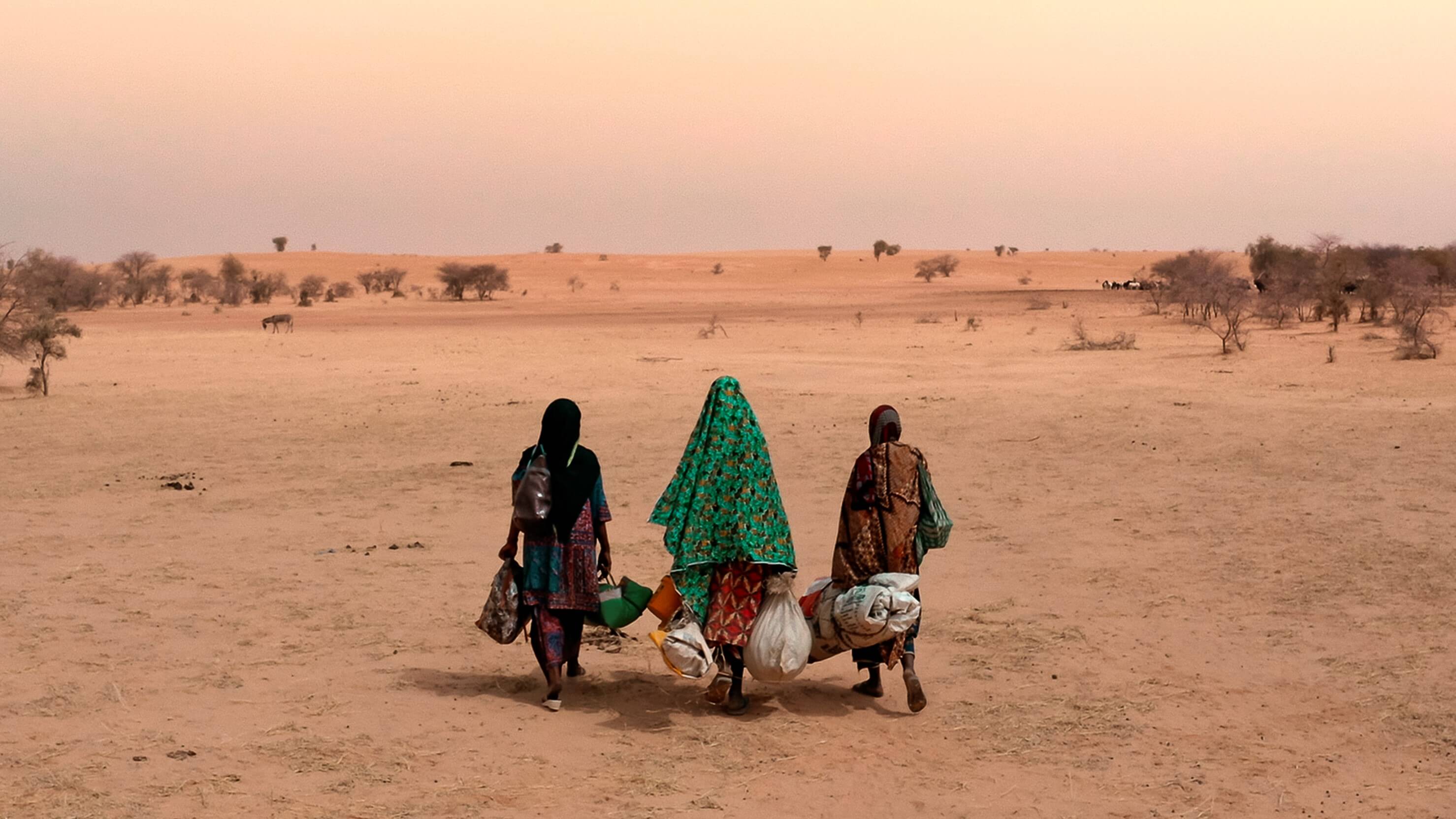 Le film « Marcher sur l'eau d'Aïssa Maïga » sera présenté dans la sélection parallèle « Le cinéma pour le climat ».