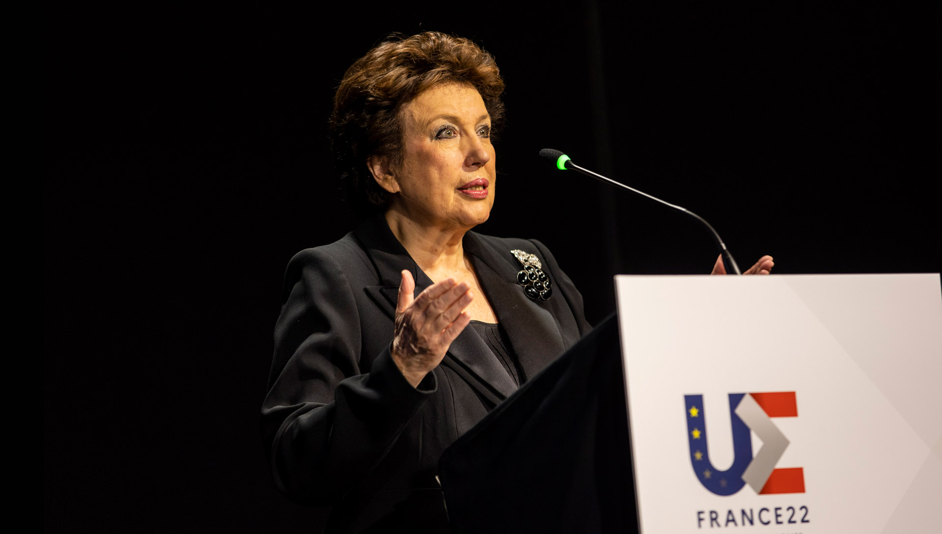 Opening speech by Roselyne Bachelot-Narquin, Minister of Culture