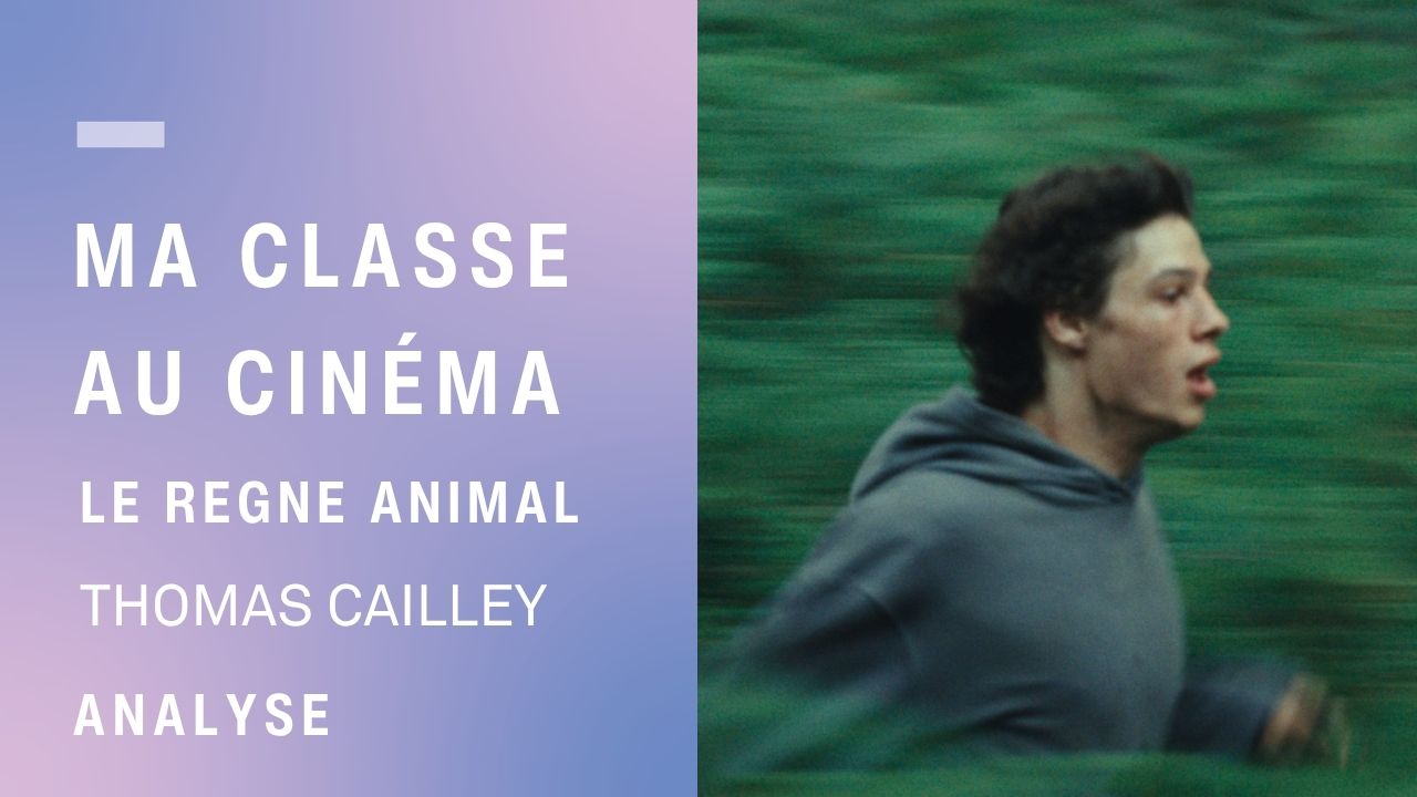Vignette analyse Regne animale