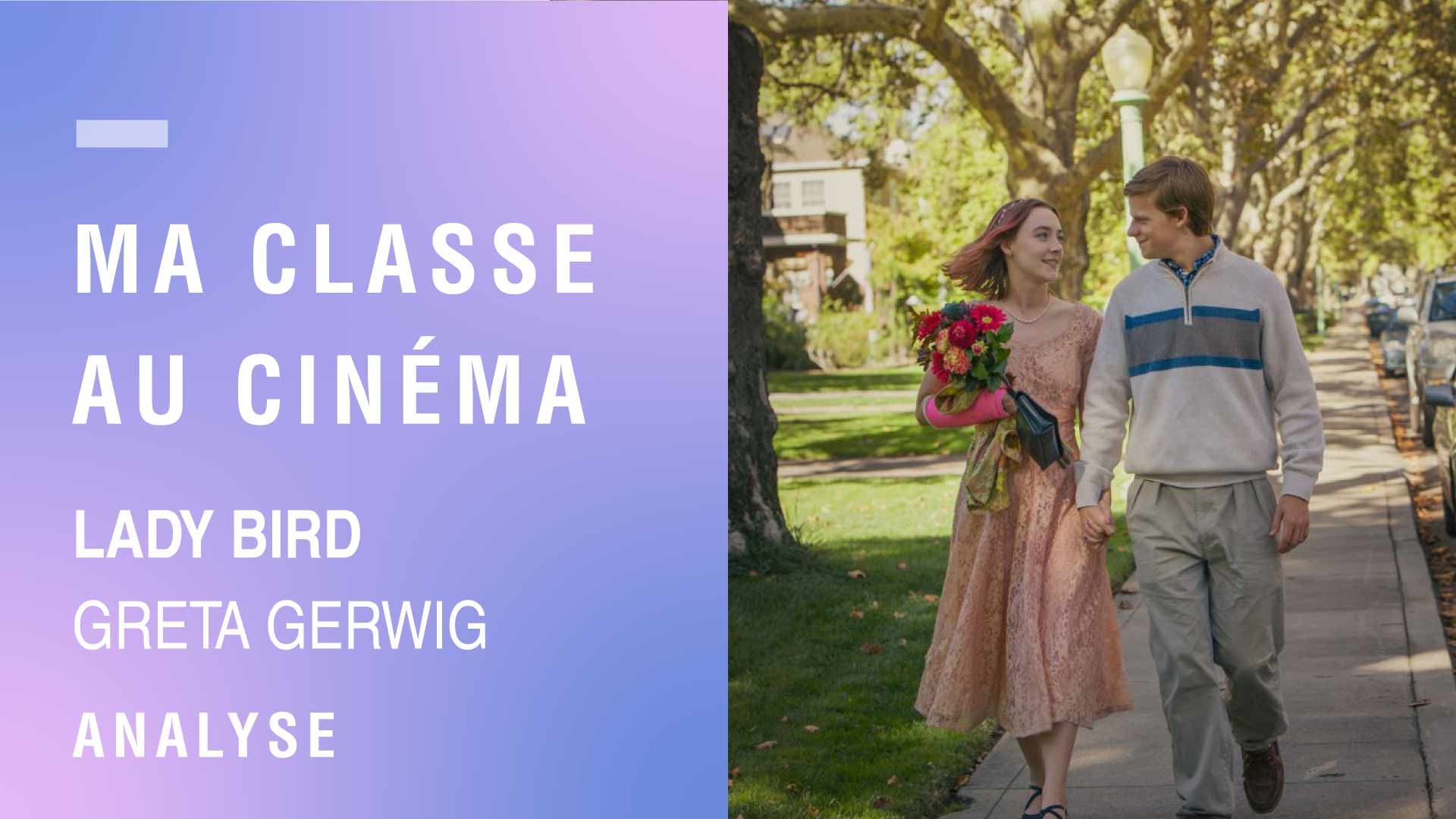 Vignette analyse Lady Bird