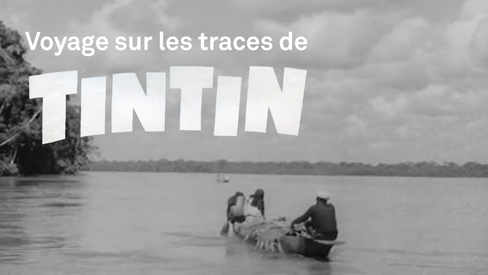 Tintin-Haut-Amazone-Oreille-Cassee