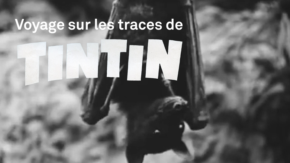 Tintin-Roussette