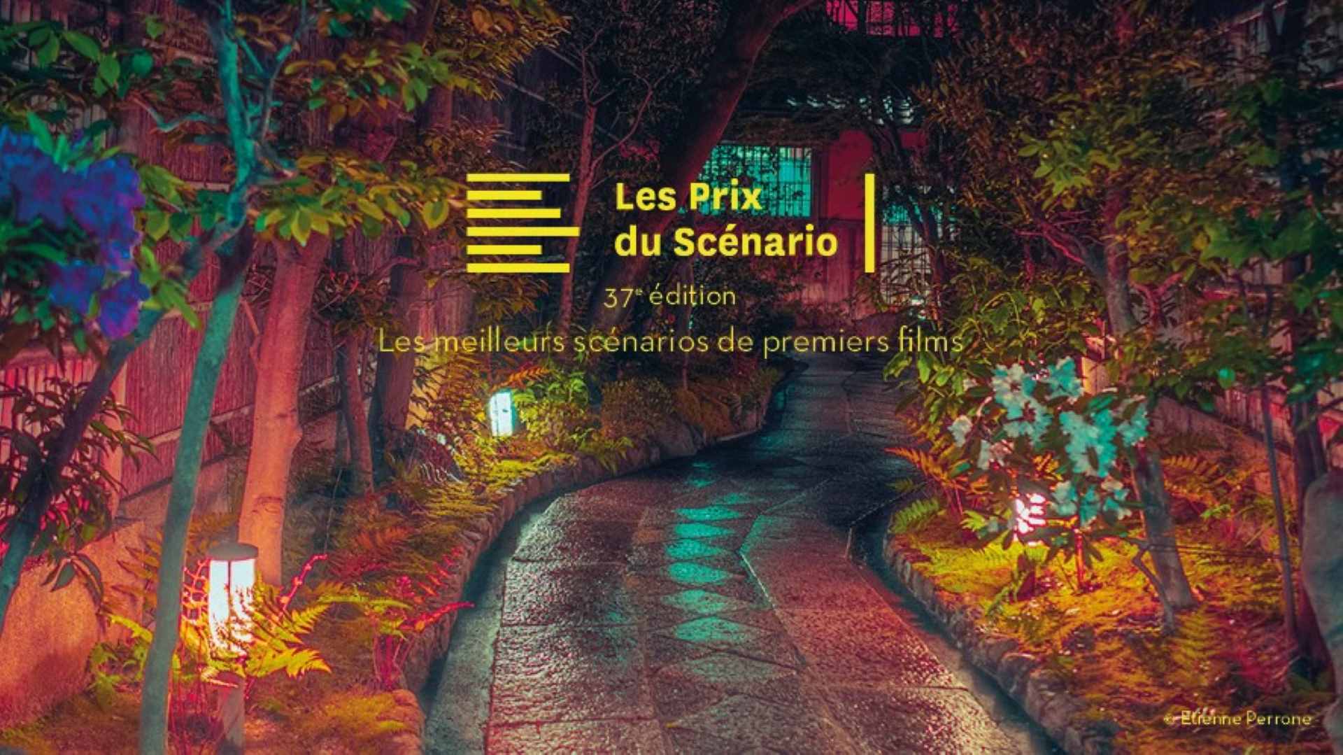 prix du scénario