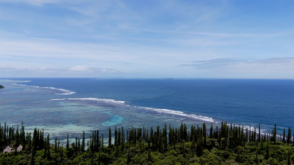 « Des oasis dans l’océan »