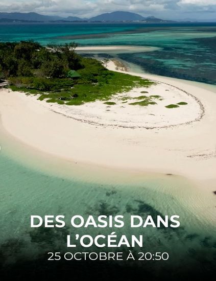 Affiche de « Des oasis dans l’océan »