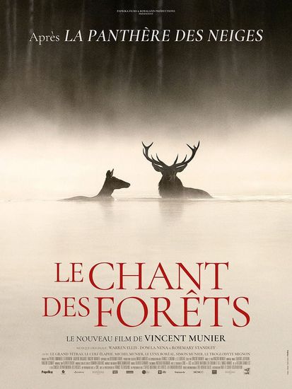 Affiche de Le Chant des forêts réalisé par Vincent Munier