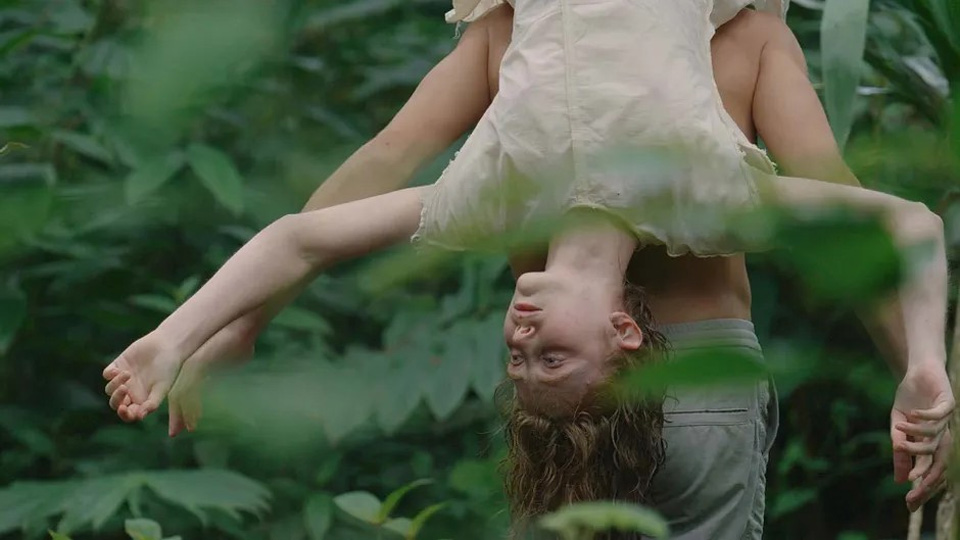 les saisons de la danse