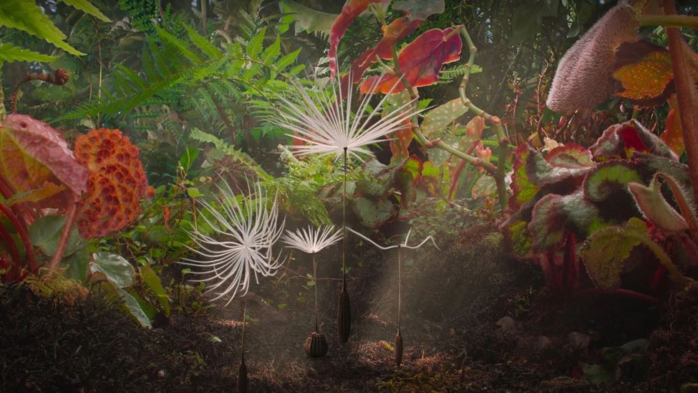 Planètes de Momoko Seto