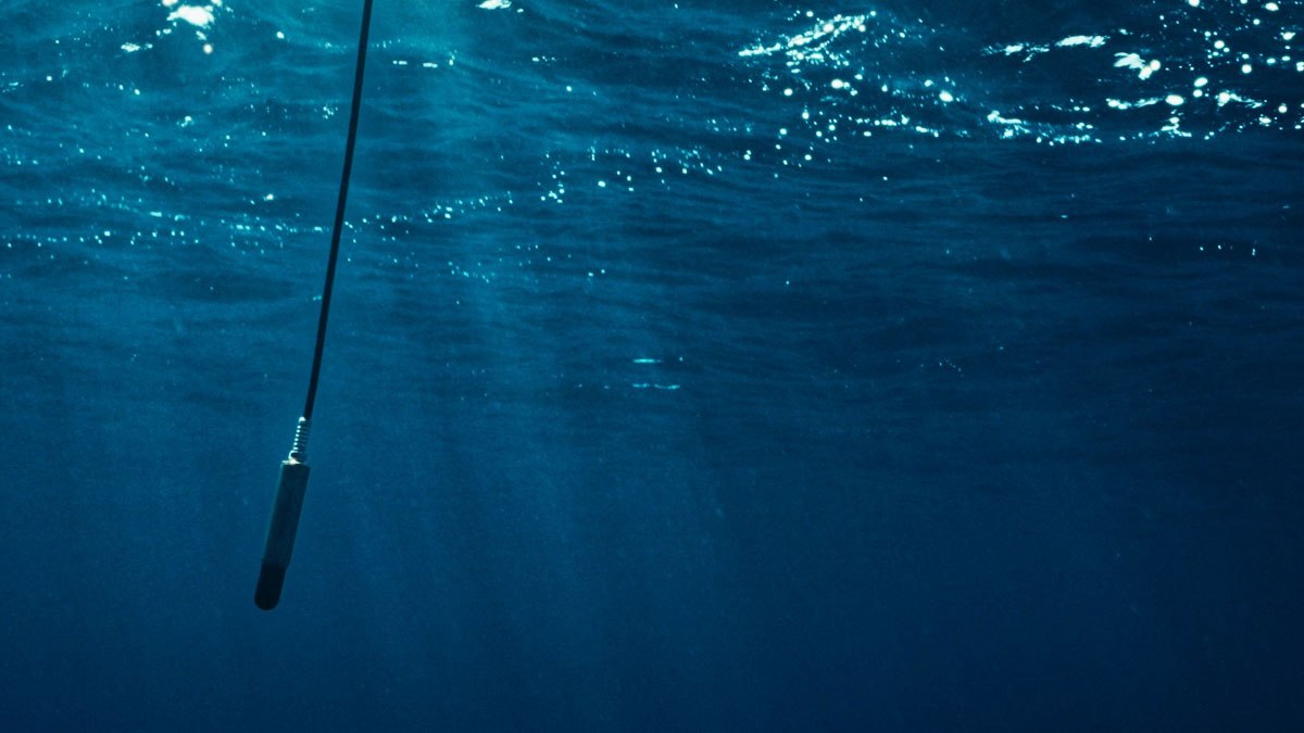 « La Baleine et le musicien » réalisé par Valentin Paoli