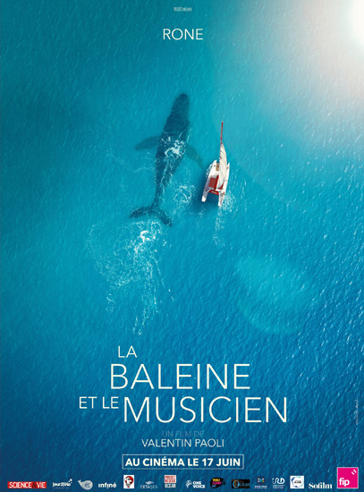 Affiche de « LA BALEINE ET LE MUSICIEN »