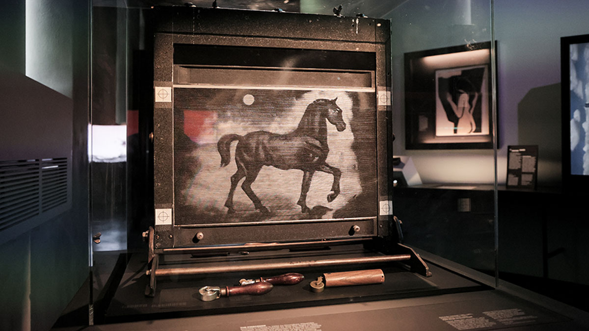 Ecran d'épingle - Musée du cinéma d'animation