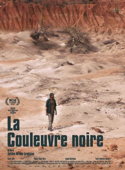 Affiche de La Couleuvre noire réalisé par Aurélien Vernhes-Lermusiaux