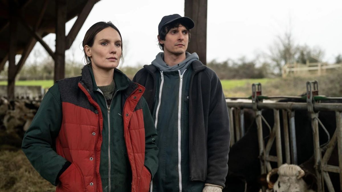 la guerre des prix film