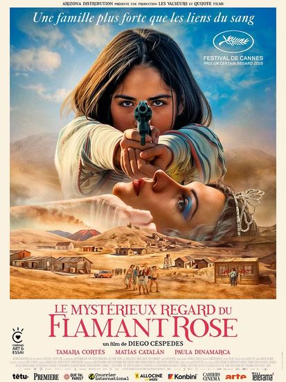 Affiche de Le Mystérieux regard du flamant rose réalisé par Diego Céspedes