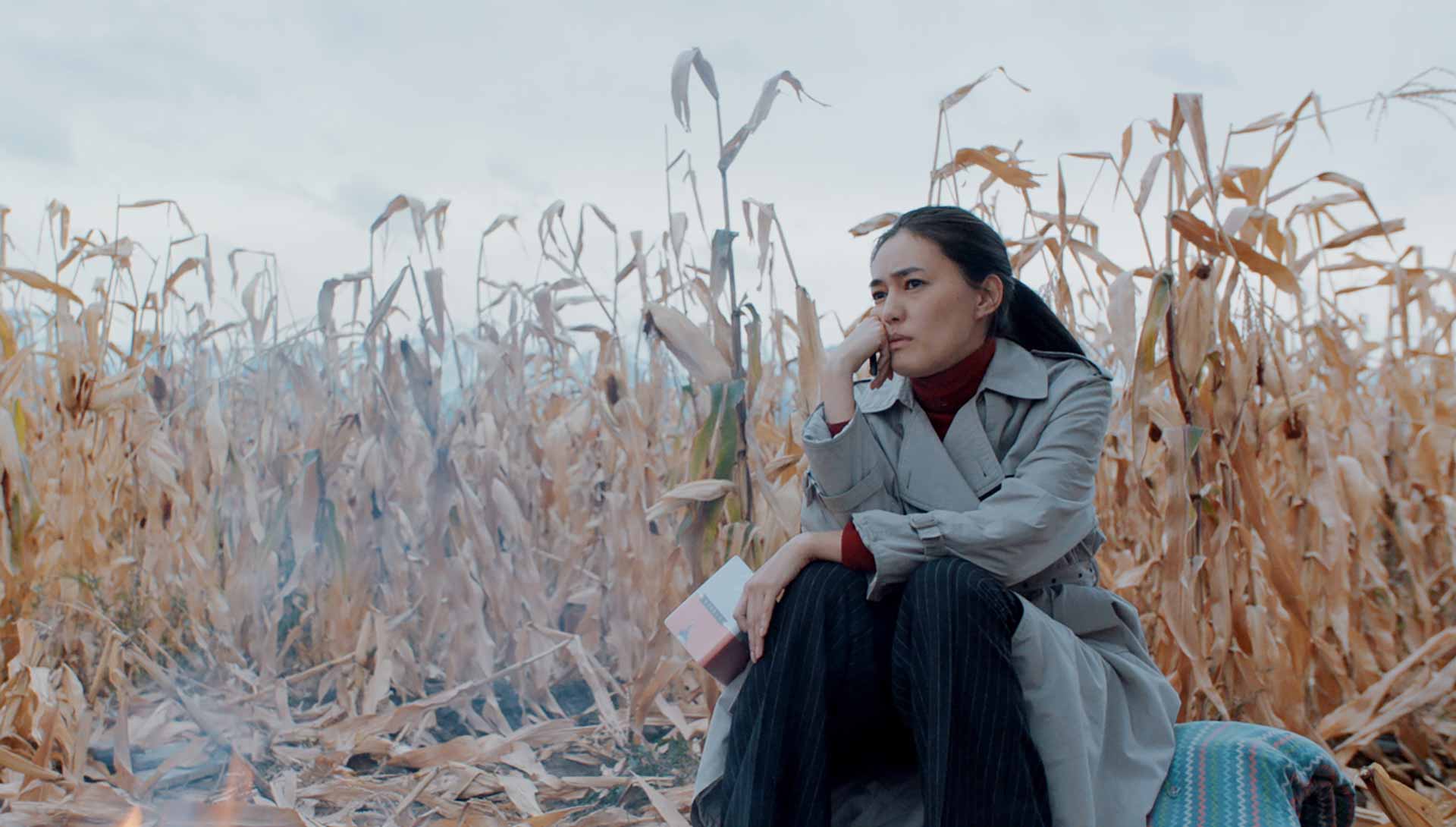 Une jeune femme assise au milieu d'un champ de blé. Extrait du film A Dark, Dark Man de Adilkhan Yerzhanov