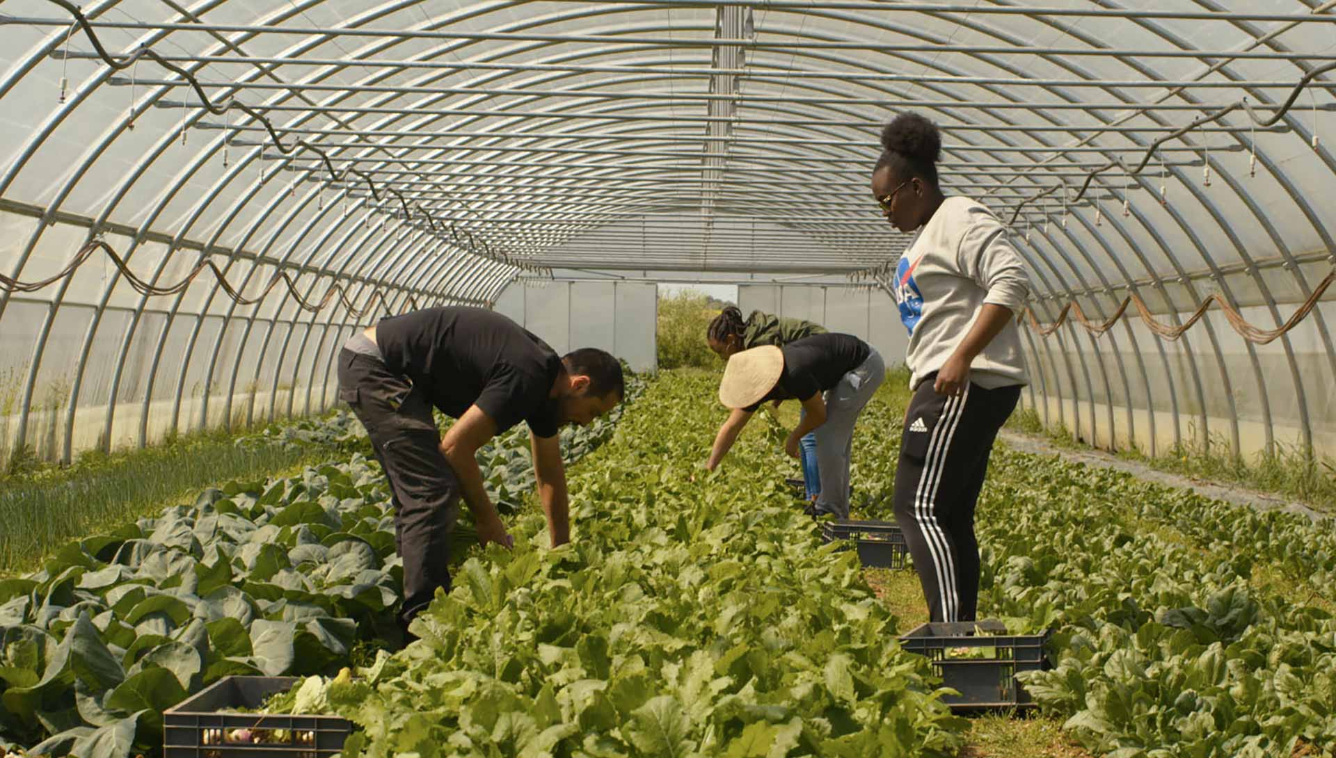 Des lycéens font de l'agriculture. Extrait du film Douce France de Geoffrey Couanon