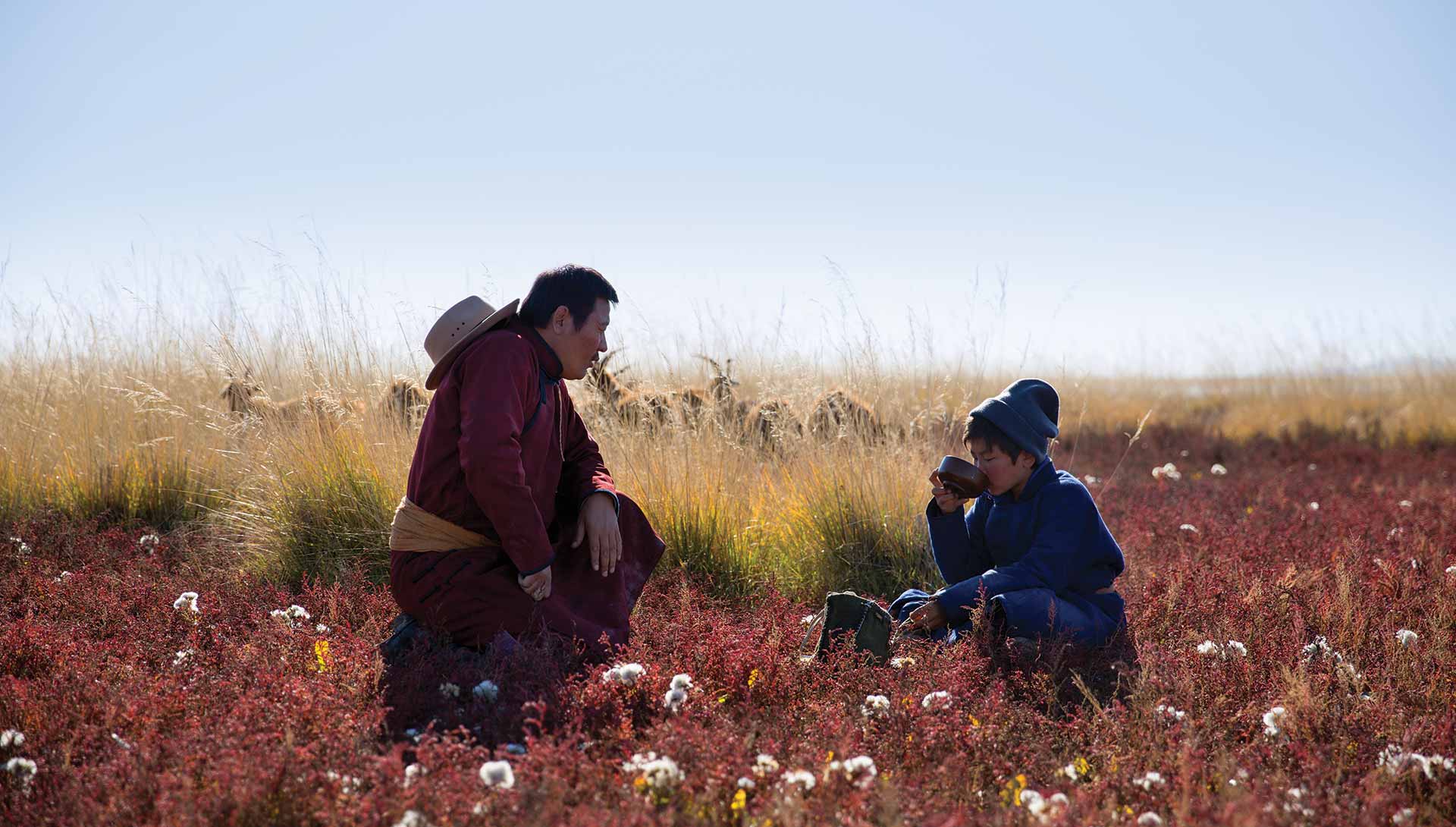 Deux personnes dans un champ de fleur. Extrait du film Les Racines du Monde de Byambasuren Davaa