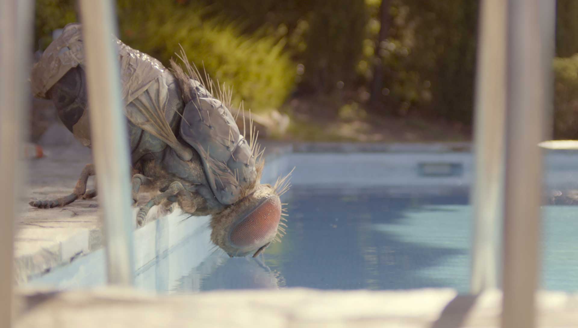 Une mouche géante près d'une piscine. Extrait du film Mandibules de Quentin Dupieux 