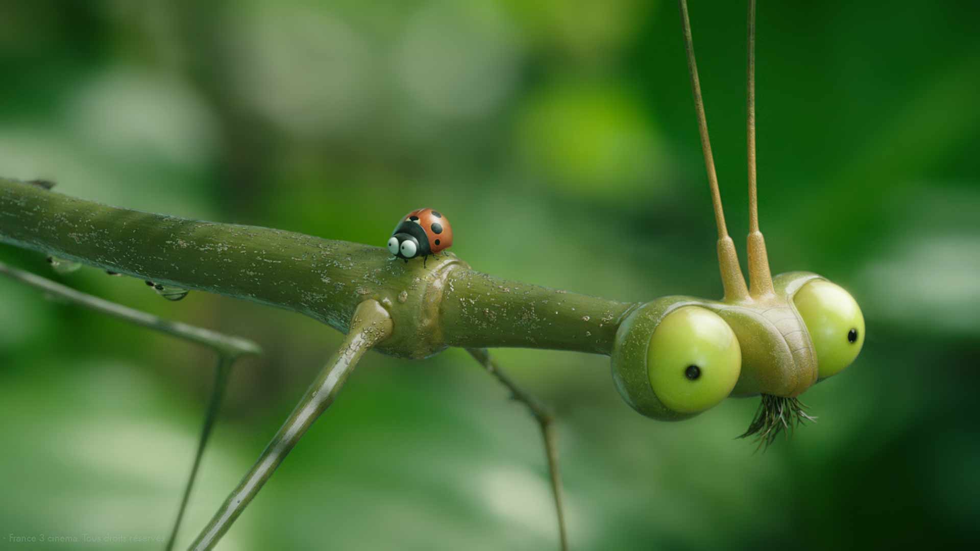 Minuscule 2 - Les Mandibules du bout du monde de Thomas Szabo et Hélène Giraud