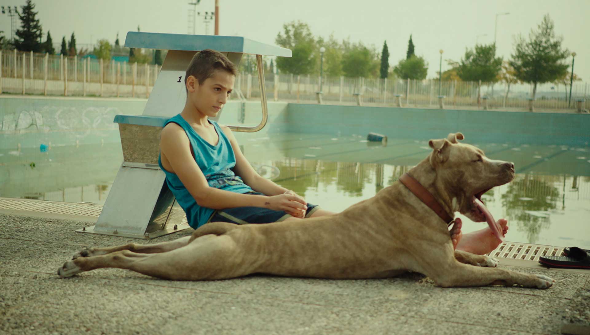 Un enfant et un chien devant une piscine