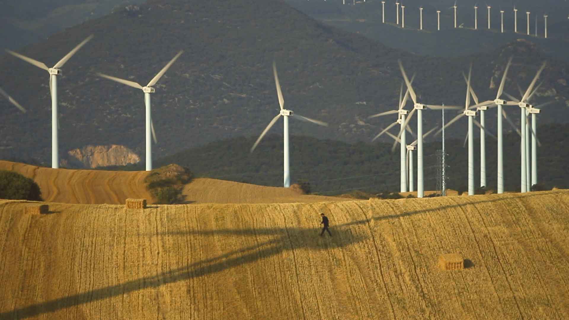 Un homme marche au sommet d'un champ surplombé par des éoliennes