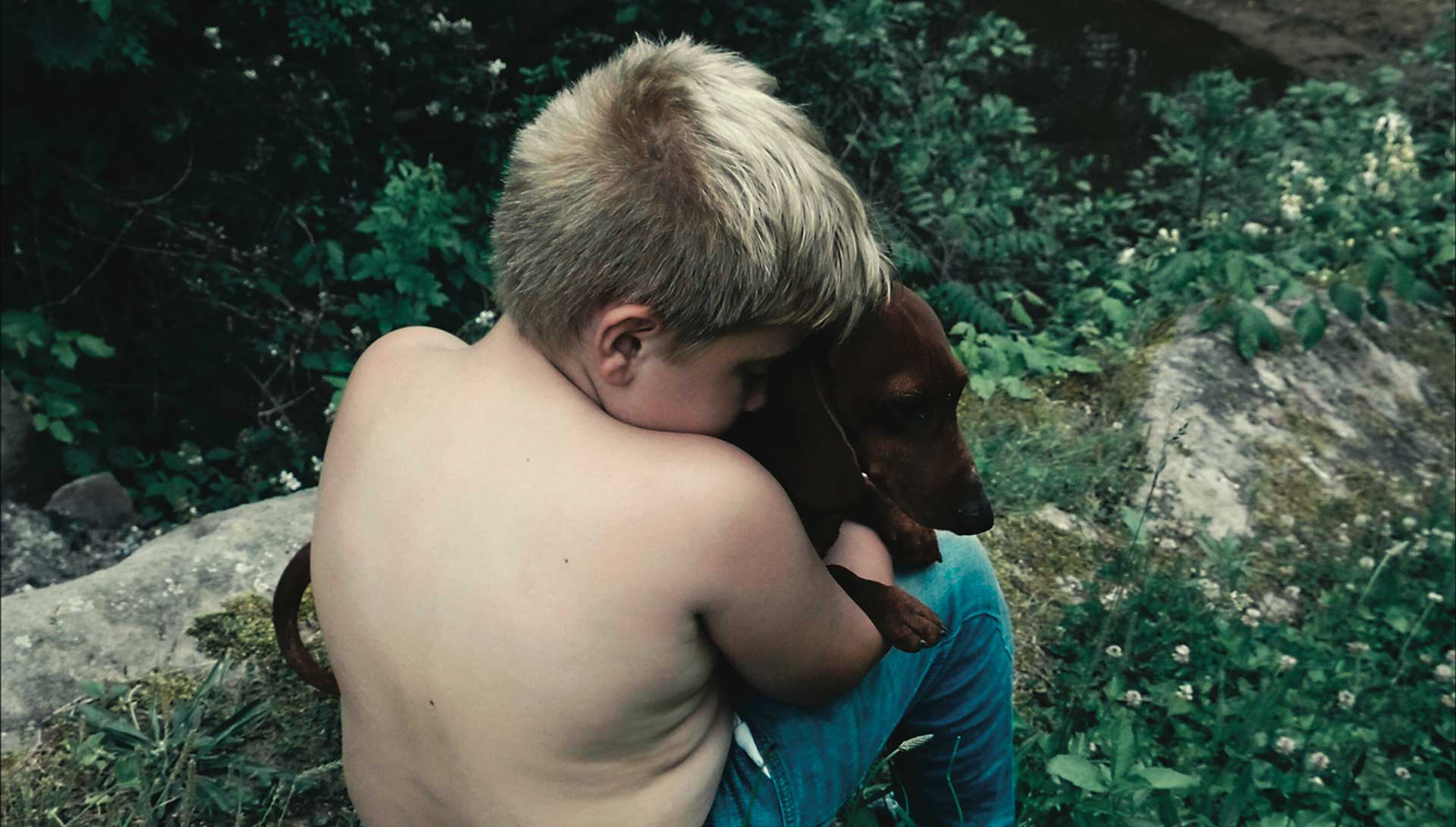 The Last Hillbilly de Diane Sara Bouzgarrou et Thomas Jenkoe