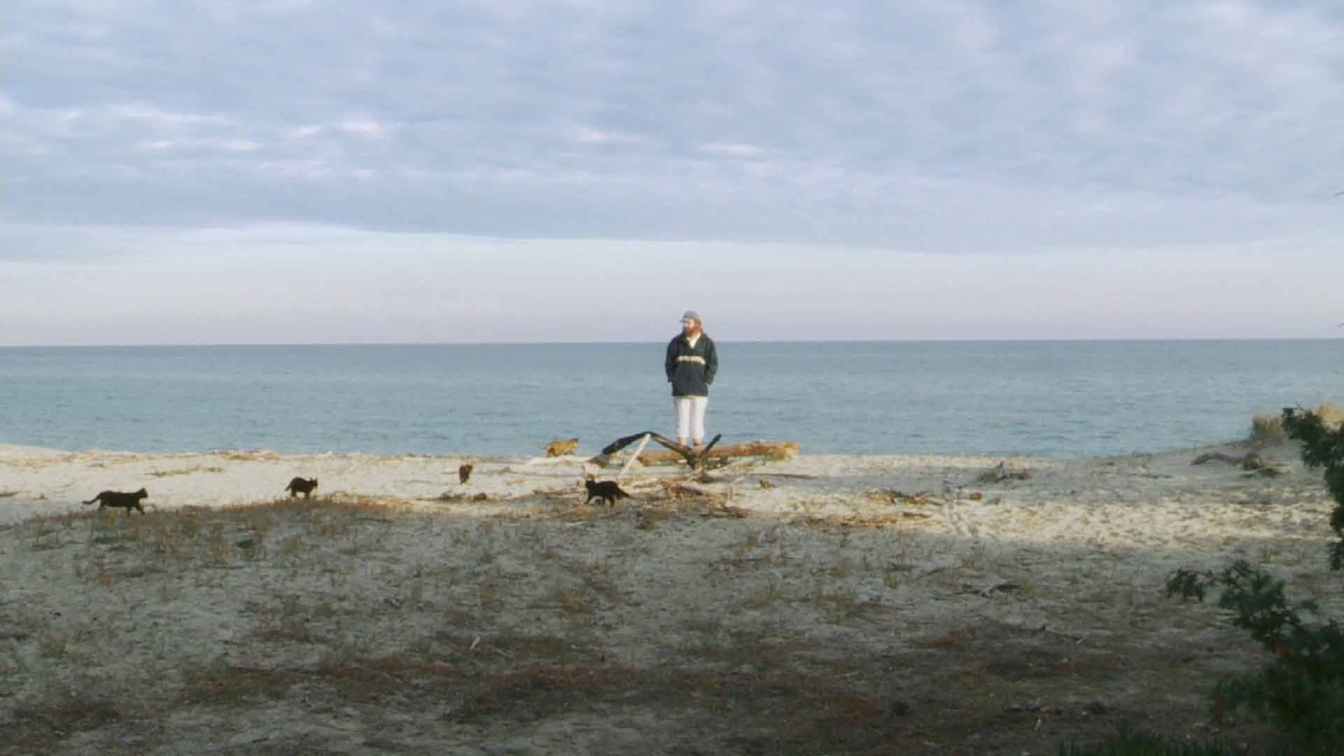 La Liberté de Guillaume Massart