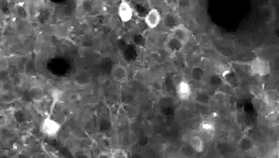 Visuel Les Fils qui se touchent