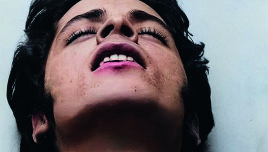 Visuel La Grande Envie de Julien Aveque