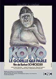Koko-le-gorille-qui-parle-fiche.jpg