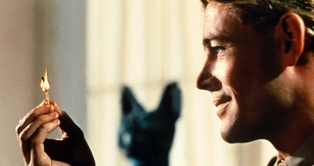 02a16077-90ed-d111-babf-2c18ade965d2?t=1