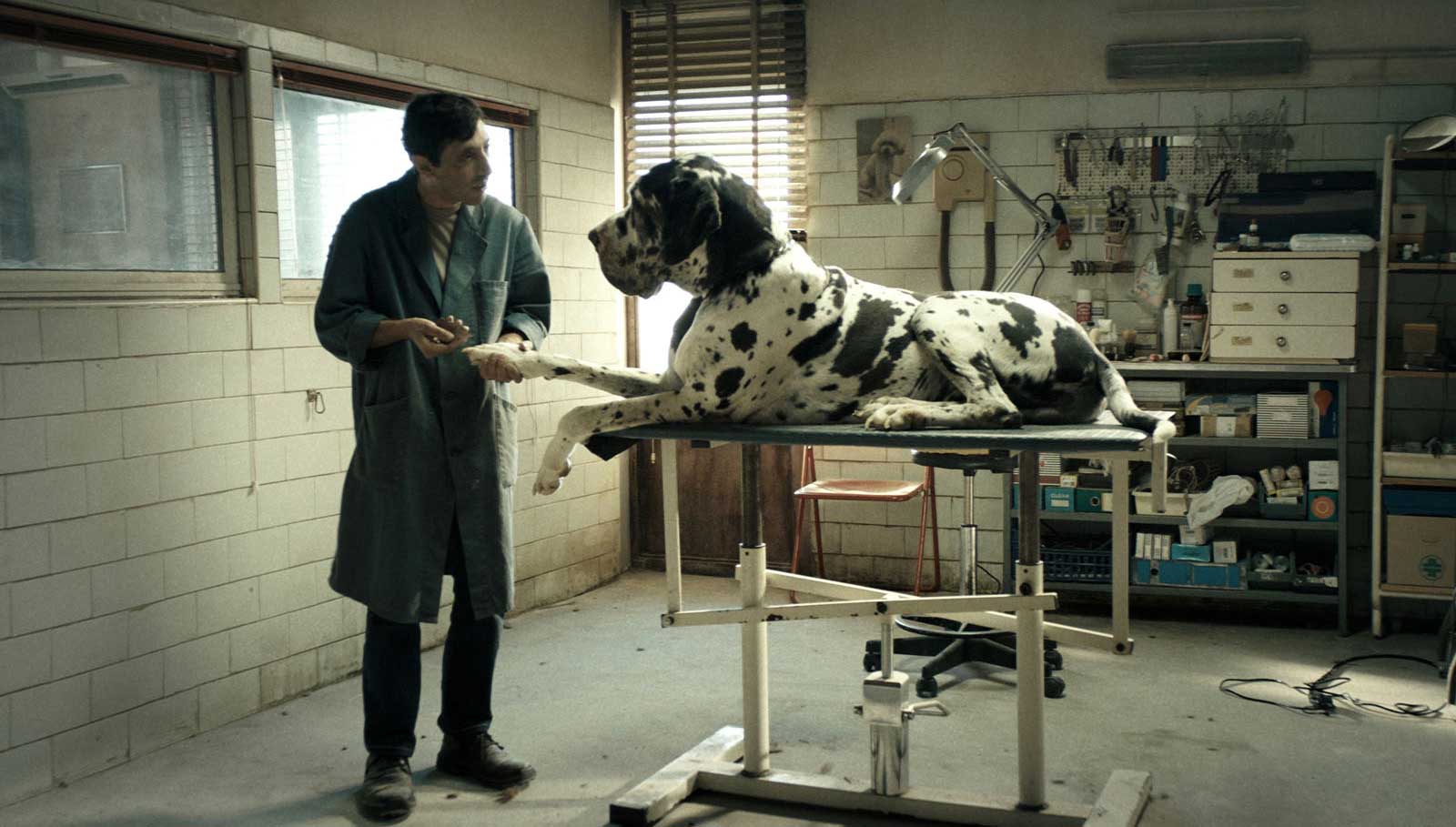 Dogman de Matteo Garrone