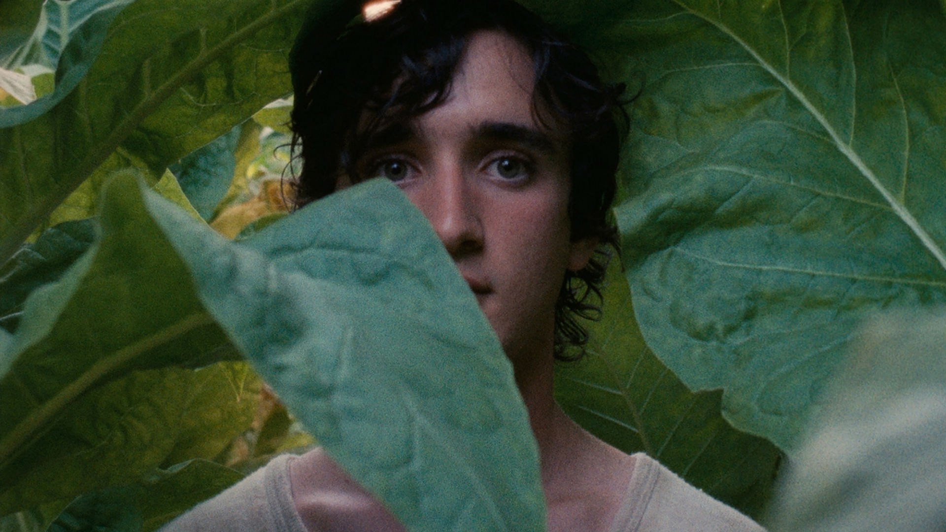 Heureux comme Lazzaro